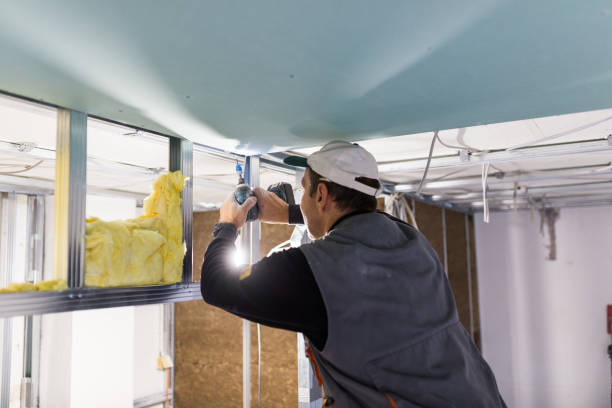 Best Blown-in Insulation  in Graysville, TN