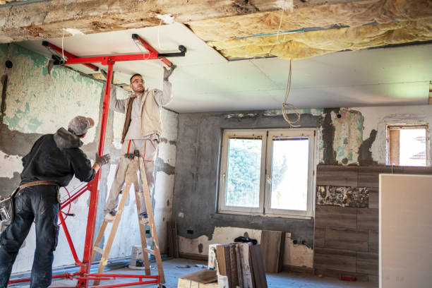 Best Insulation Removal  in Graysville, TN
