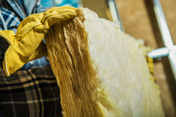 Best Attic Insulation Installation  in Graysville, TN
