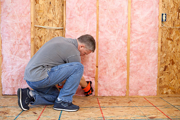 Insulation Repair Services in Graysville, TN