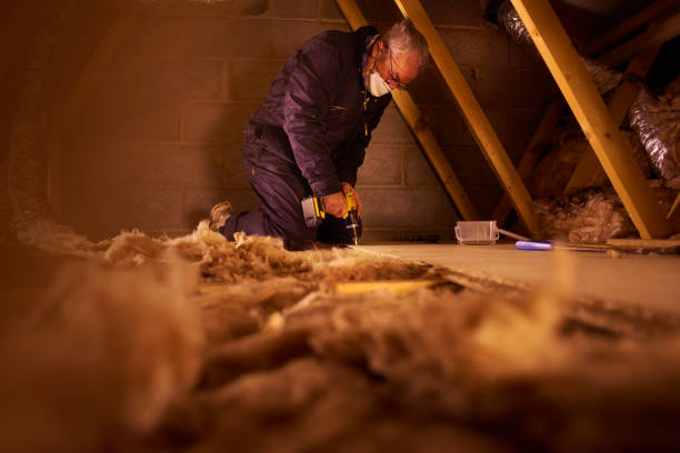 Best Wall Insulation Contractor  in Graysville, TN
